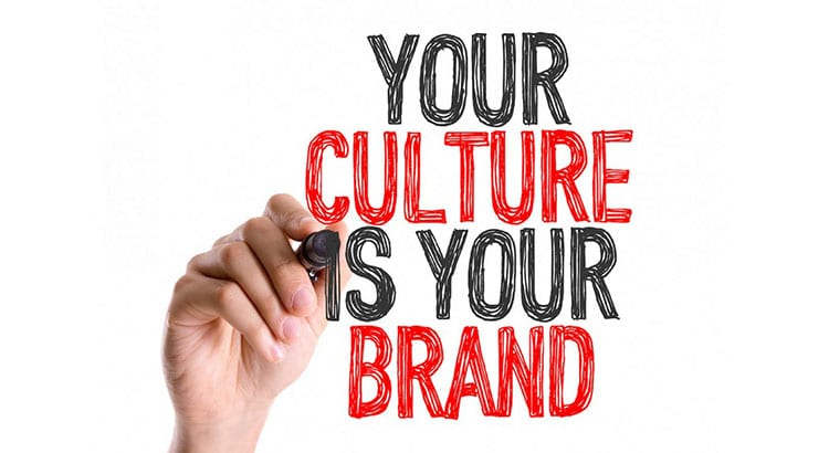 testes fit cultural