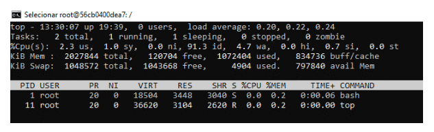 imagem de programacao com docker
