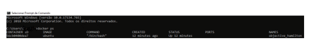 imagem de programacao com docker