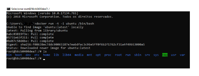 imagem de um conteiner de programacao