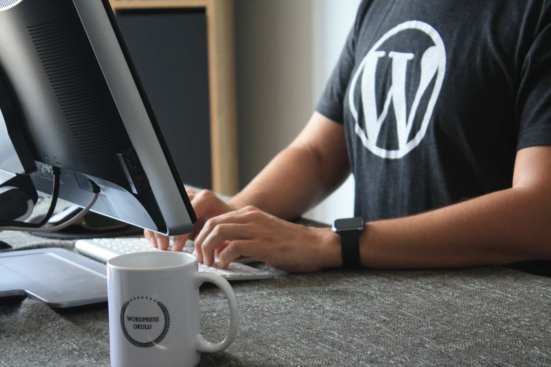 Pessoa utilizando wordpress no computador